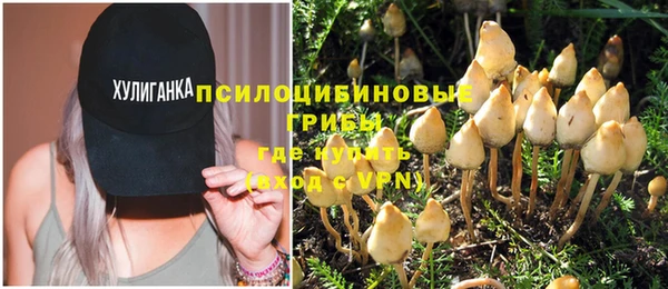 эйфоретик Нефтекумск